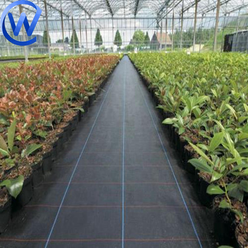 PP Polypropylene Woven Anti Grass Cloth Cover Fabrics for Grape Farm