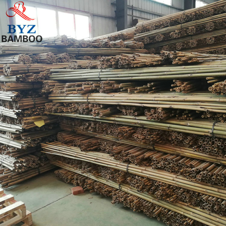 Cheap Tonkin Tsinglee Cane Natural Large Bamboo Poles