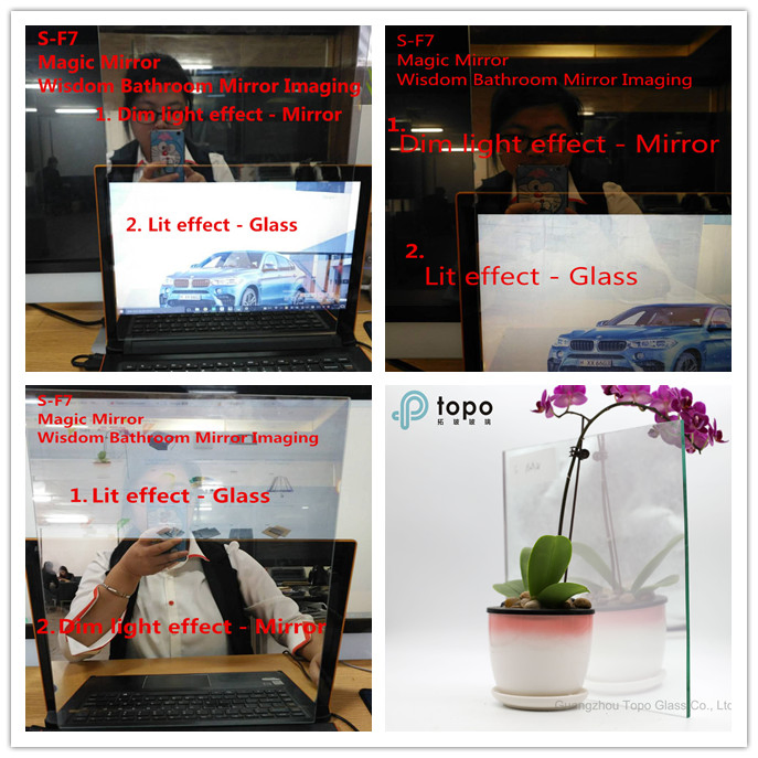 Function Glass / Special Glass for Building / Windows / Doors (S-TP)