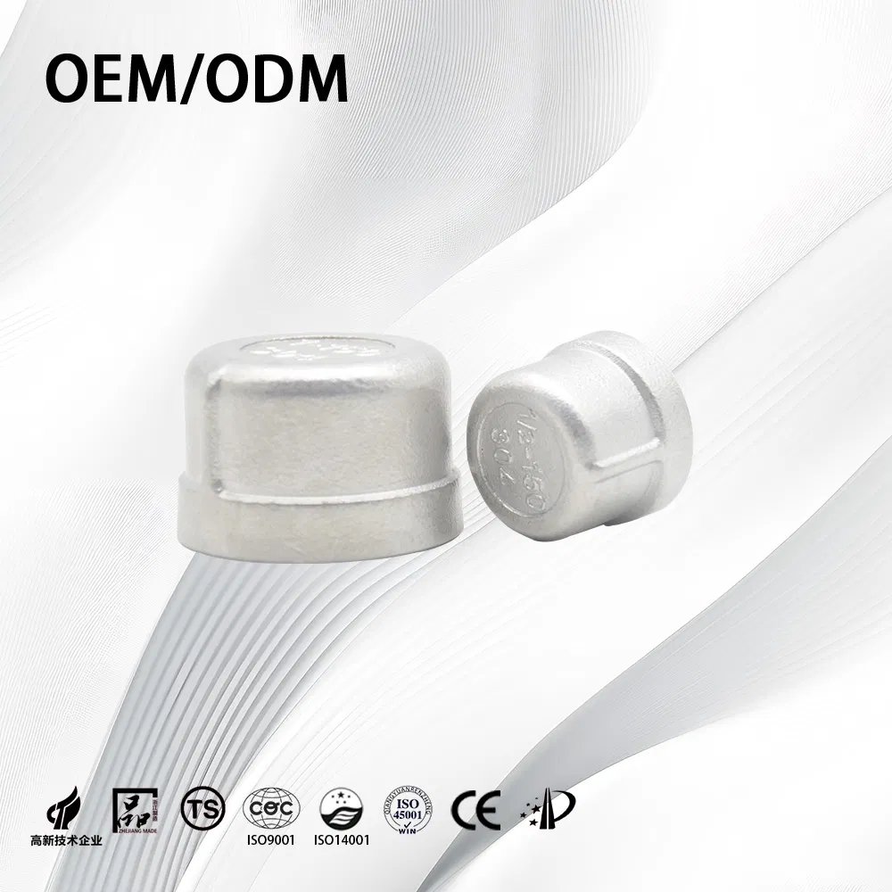 Stainless Steel End Cap ANSI B16.9 ASME B16.9 Sch80/Threaded/Butt Weld/Pipe Fitting