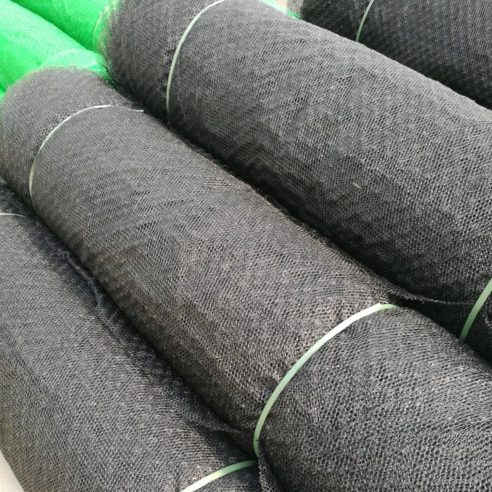 Plastic 3D Geomat Erosion Control Geomat for Slope