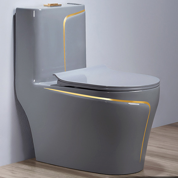 Anti-Bacterial Toilet with Self-Cleaning Glaze Surface