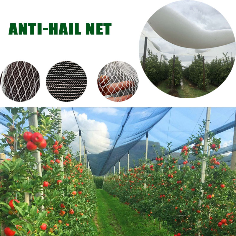 Защитная сетка от града для сада и яблок HDPE