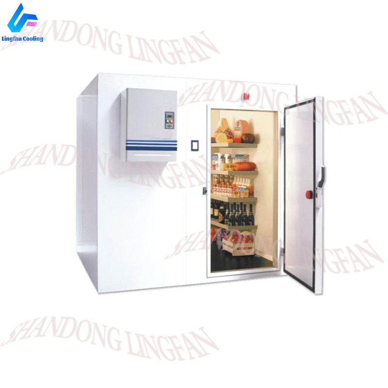 12 DC Deep Frozen Factory Price Quality Assurance Solar Freezer Cold Room for Fresh Food Storage
