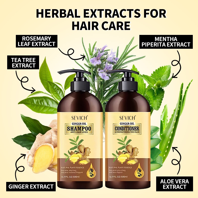 Ginger Hair Growth Set Private Label 500ml Natural Tea Tree Repairing Nourishing Hair Thickening Shampoo