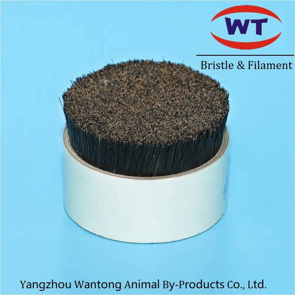 Natural Wild Boar Bristle Hairbrush for Smooth Styling