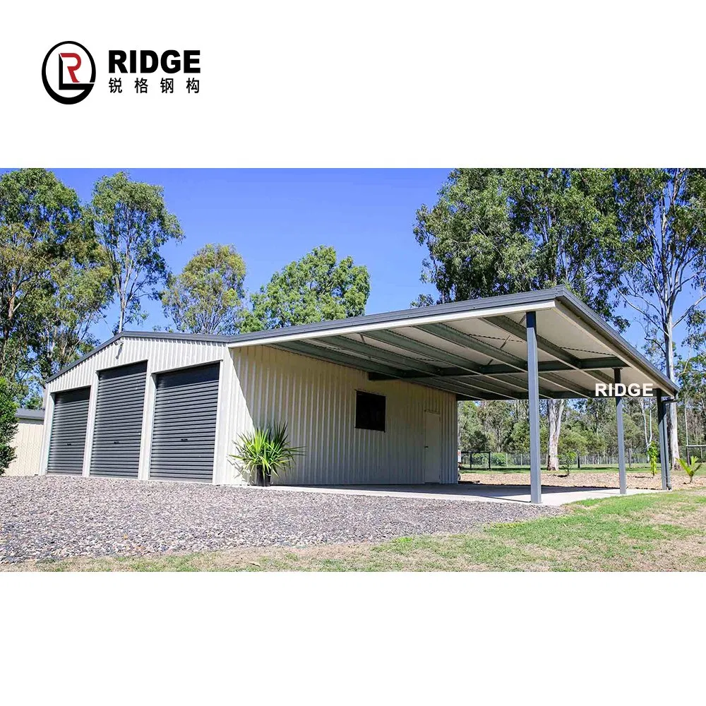 Customized Steel Structure Shed Gable Roof Garden Shed for