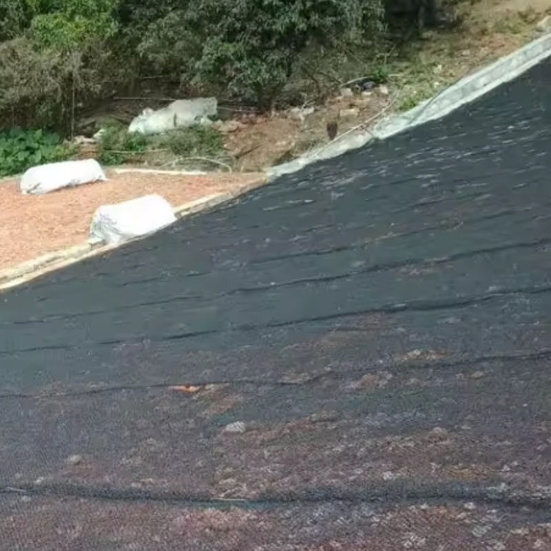 3D Plastic Erosion Control Geomat for Slope Protection Project