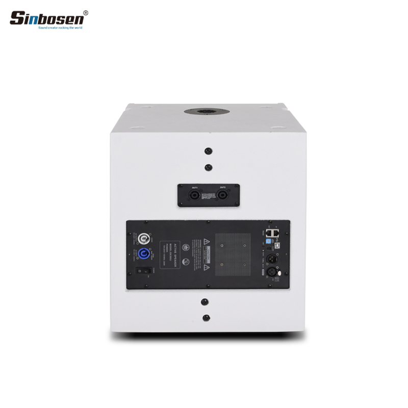 Built in Amplifier Active Speaker Cox-5.4 2 Way Stage Speaker