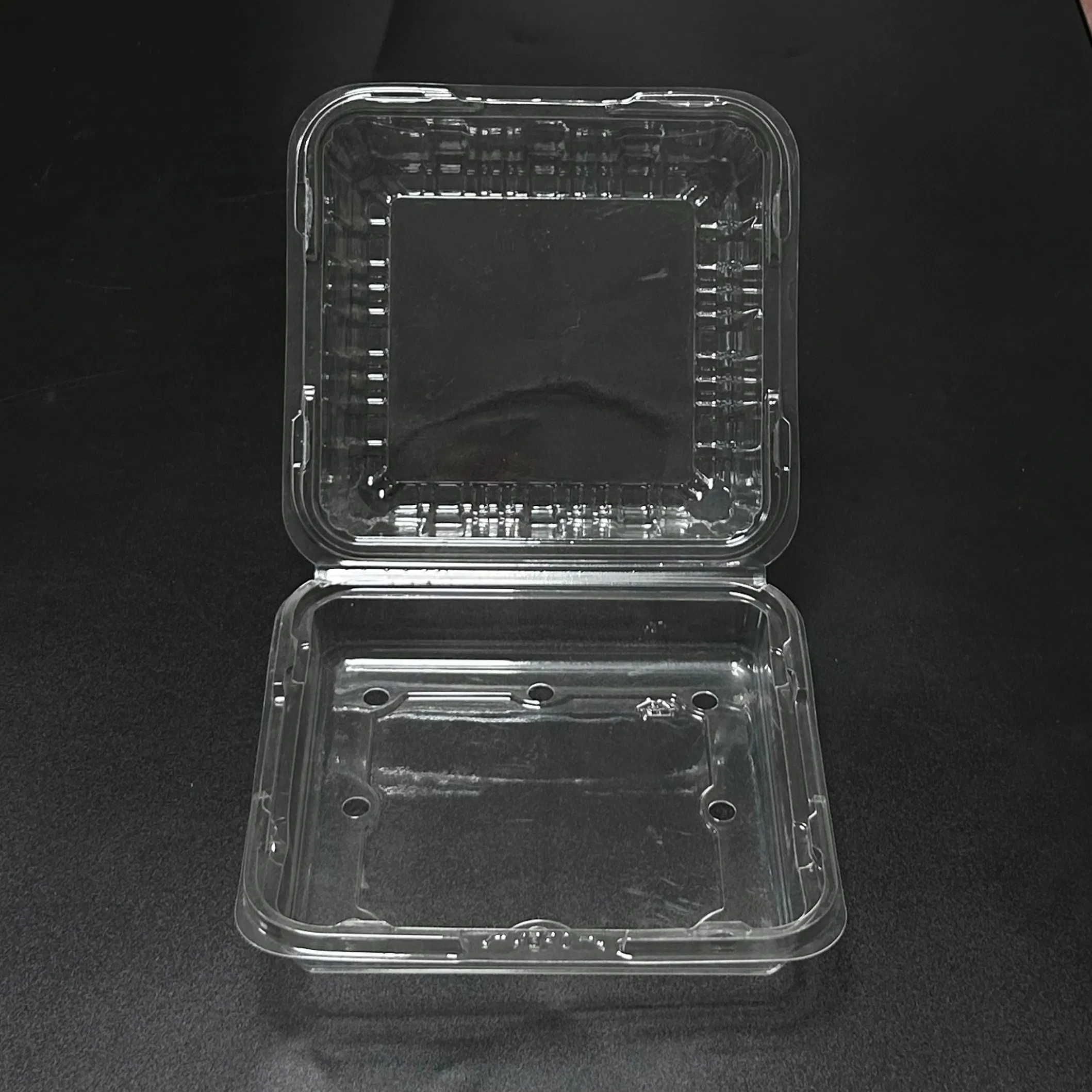 custom food grade chocolate clamshell tray PET clear blister packaging
