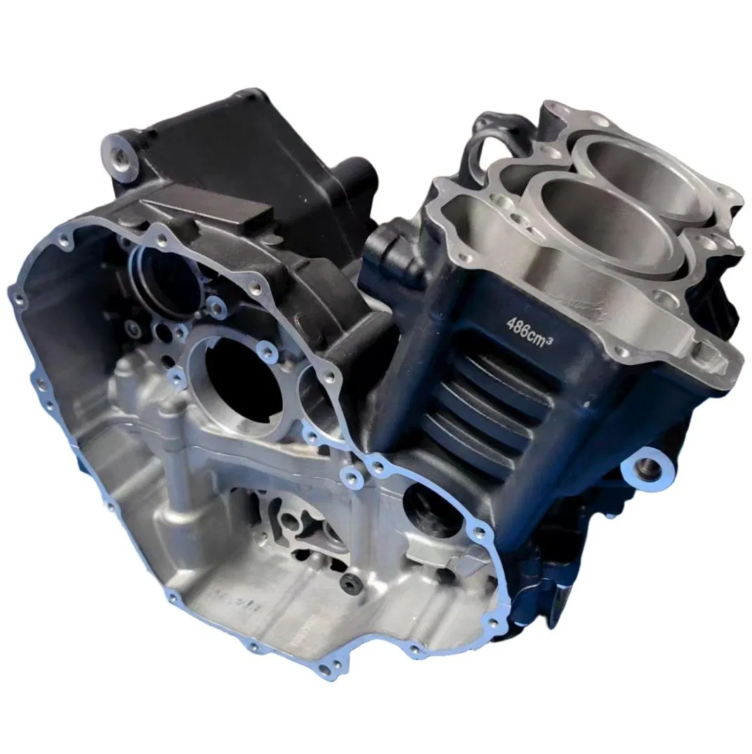 Картер двигателя мотоцикла OEM для двухцилиндрового двигателя