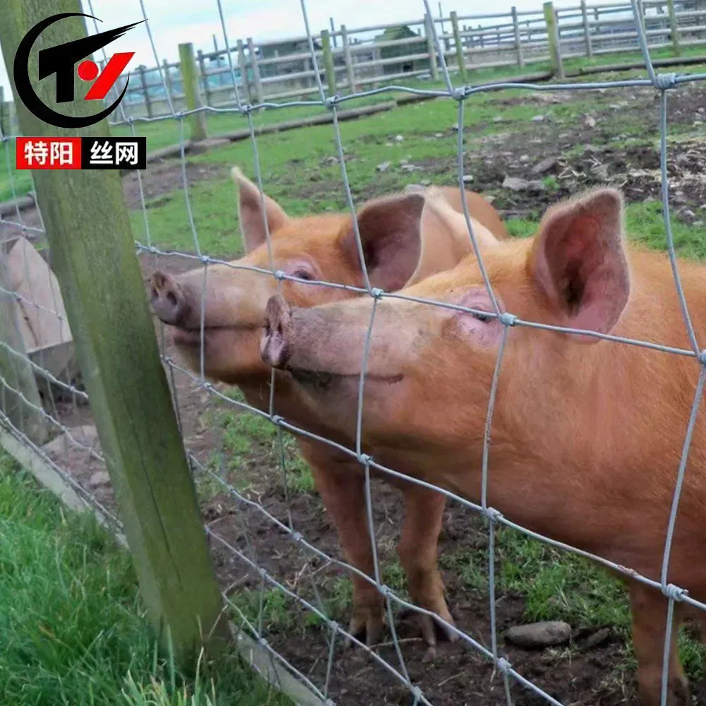 Welded Wire Metal Mesh Panels, Wire Fencing Panels for Guardrail, Fence, Farm - Galvanized Steel, Custom Sizes, Durable, Factory Price