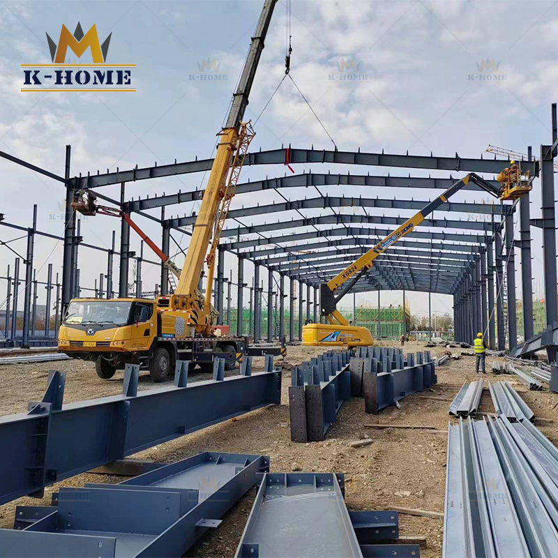 Steel Structure Farmhouse Shed Shelter Poultry House