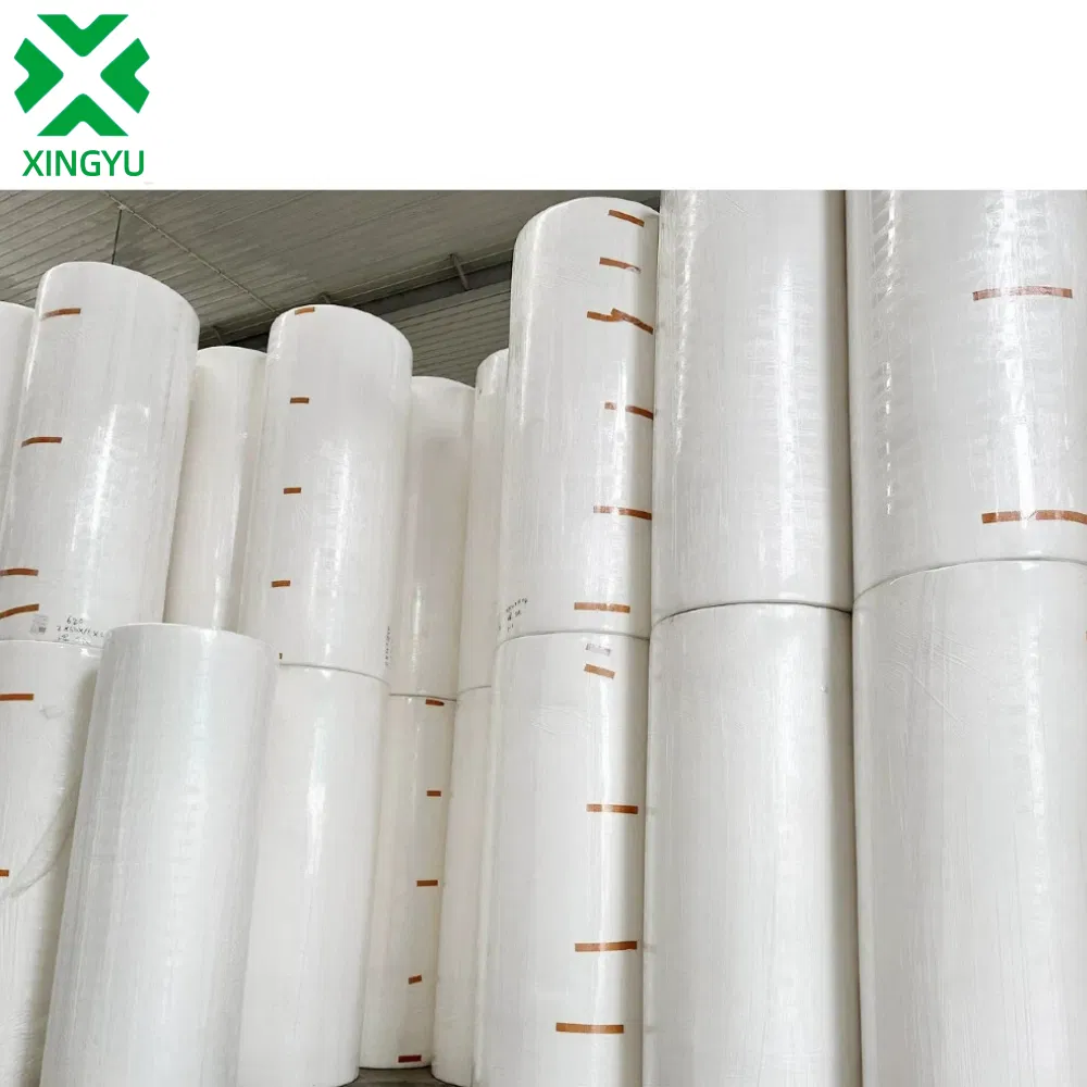 Customizable Base Paper 7-30 Days Delivery MOQ One Container Required