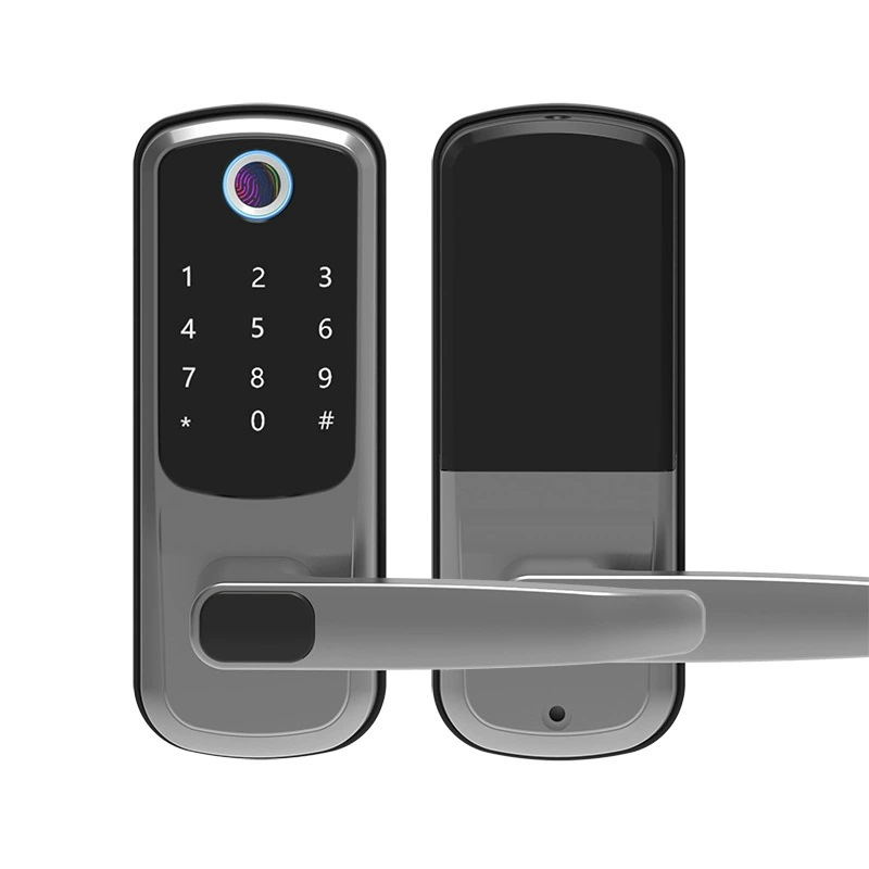 Fingerprint Sliding Handle Keyless Digital Smart Door Lock Door Password Smart Lock
