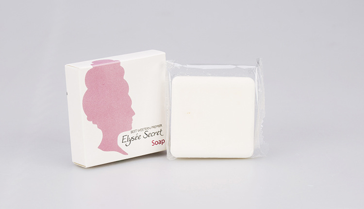 Bulk Custom Luxury Hotel Guest Amenity Kit Disposable Biodegradable 3-4 Star Hotel Aminities Amenities Set