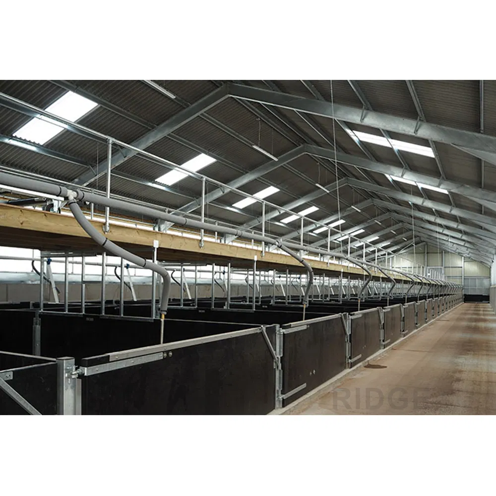 Design Egg Layer Battery Chicken Cage System Prefabricated Steel Structure Poultry Farm House