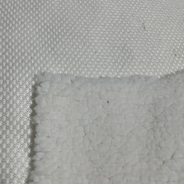 Outdoor Winter Poly Boa Sherpa Fabric: Knitting Fleece, 100% Polyester, 250GSM, 155cm Width