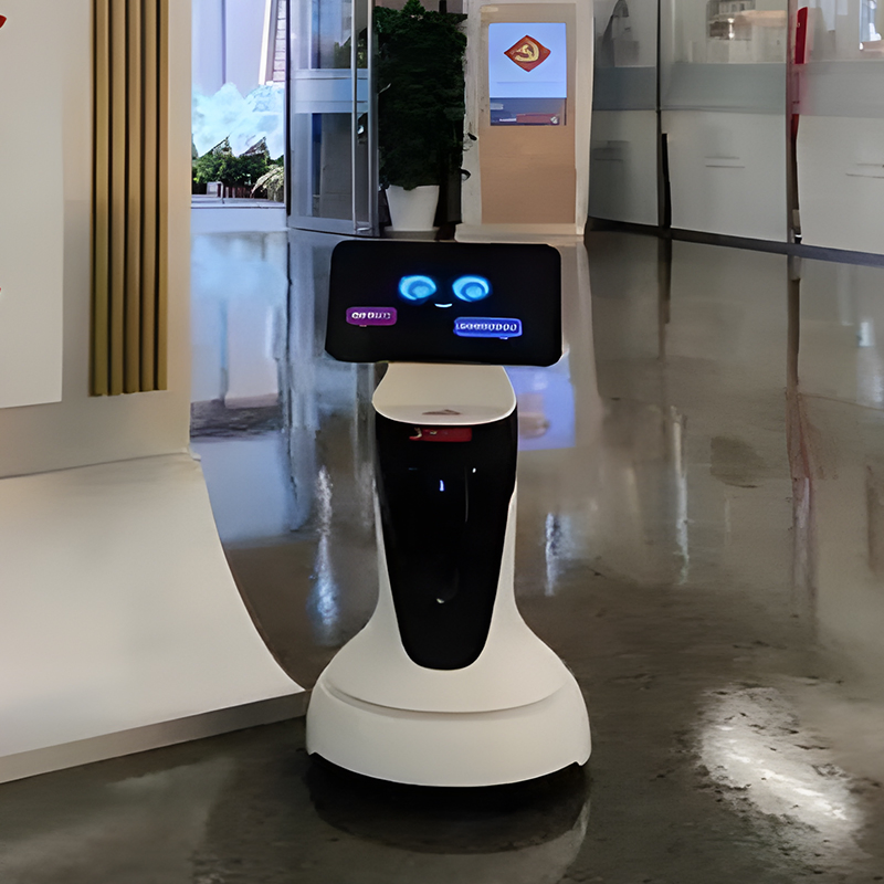 Robust Sturdy Long-Service Food Delivery Robot
