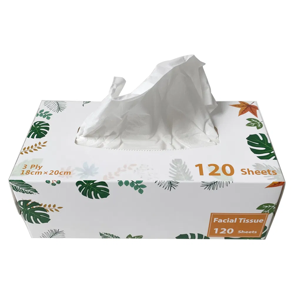 Hot Sale in China Brands Names Box Facial Tissue Wholesale Face Tissue