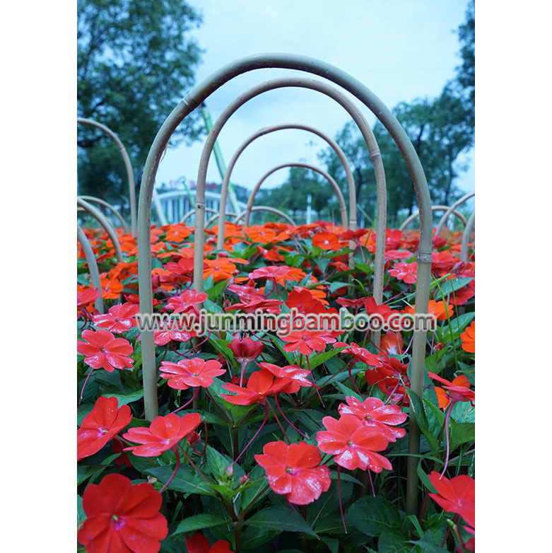 Lamp Shape Bamboo Cane Custom Bamboo Stake Bamboo Pole Plant Support Bamboo Flower Stick Bamboo Trellis for Landscaping and Garden Planting