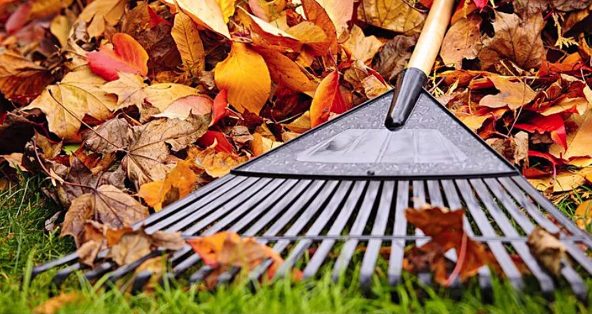 Wholesale Plastic Garden Rake 20 Tooth Gardening Lawn Leaf Rake