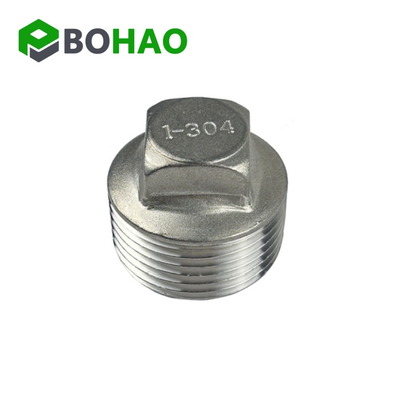 Stainless Steel Pipe Fittings 304 Thread 1'' Plug for Water Oil Gas
