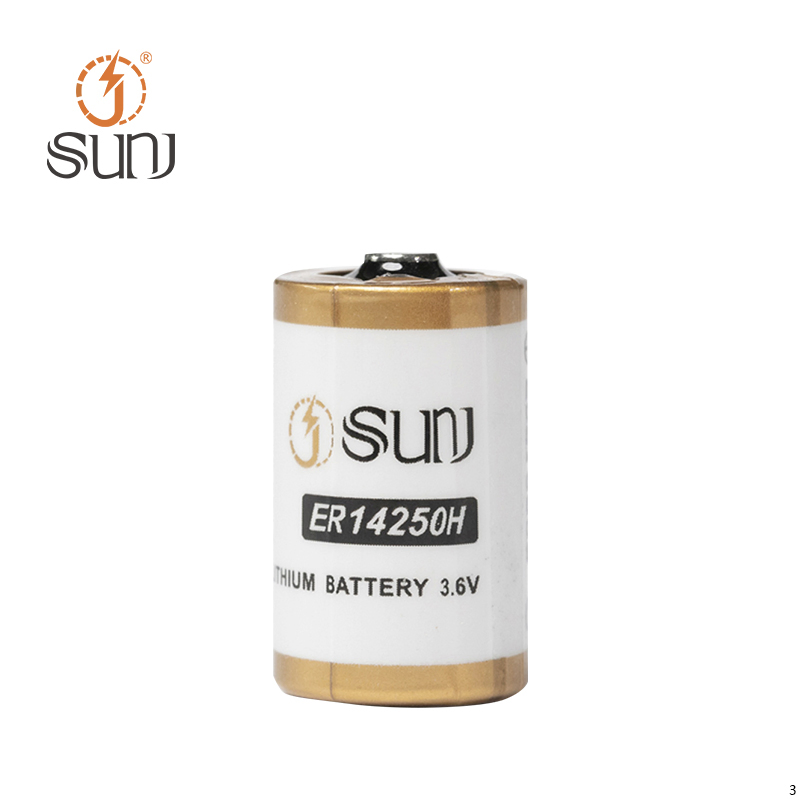 Factory Direct Supply 3.6V 1200mAh Er14250h Lithium Primary Battery Cell