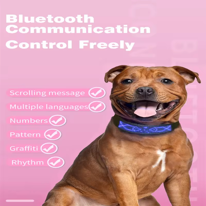 Factory Price Luminous Scrolling USB Rechargeable Flashing LED Pets Band