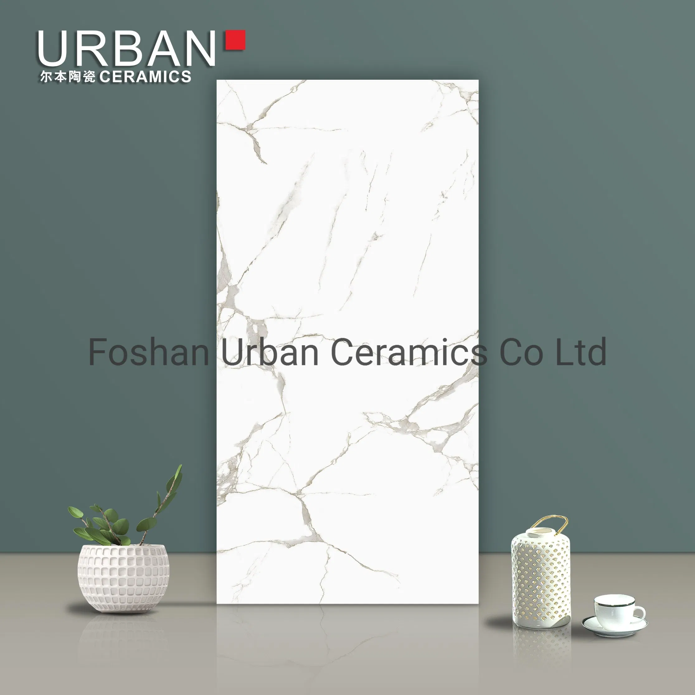 Tb612001 Foshan Caracatta White Carara White Color Decoration 600X1200mm Full Body Glazed Polished Porcelain Marble Floor Wall Tile