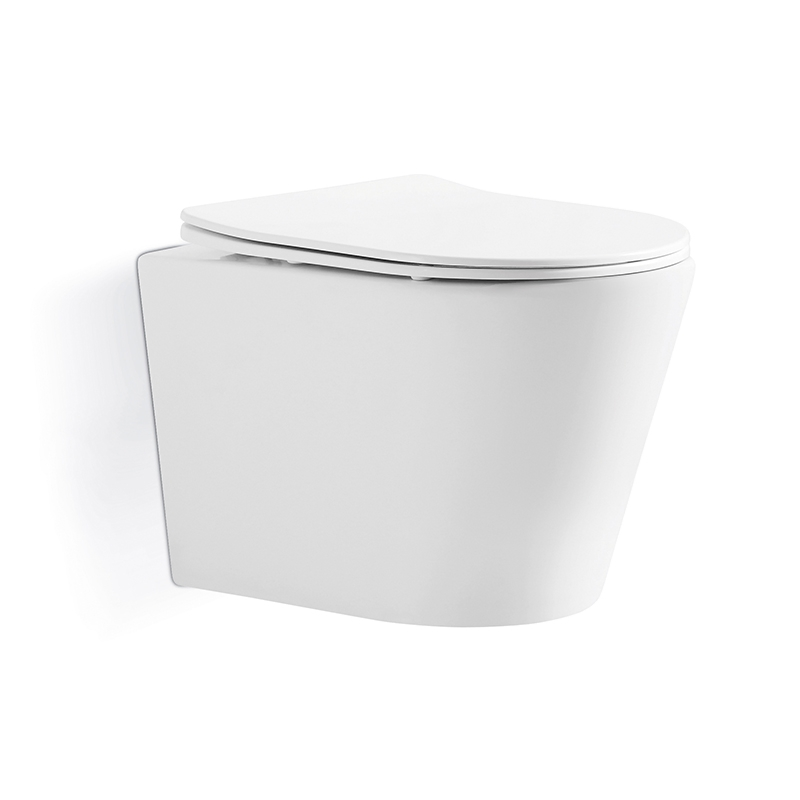 Dual Flush System Wall Hung Toilet with Concealed Tank