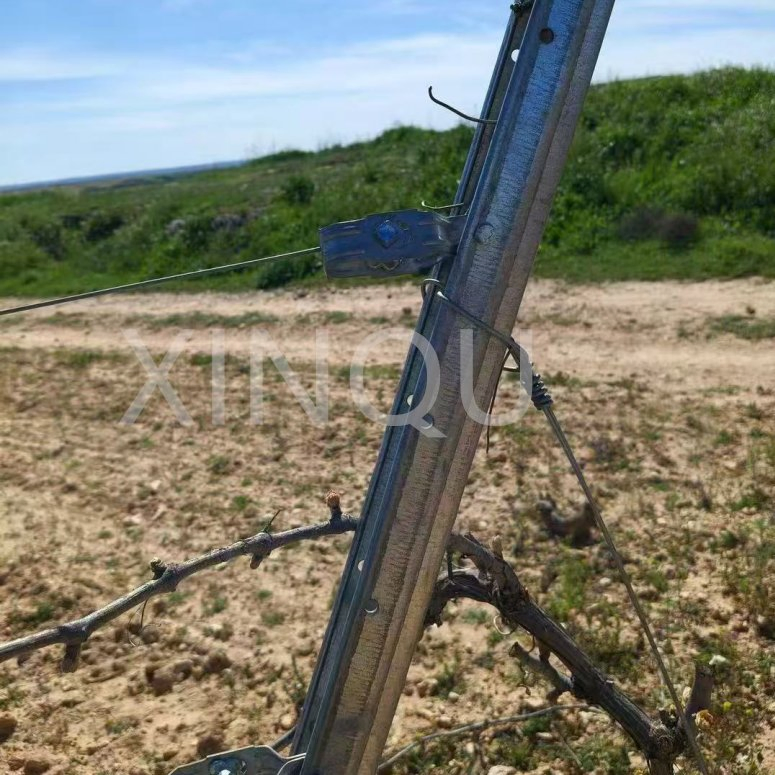 Easy to Use Hot DIP Galvanized Grape Vine Post Vineyard Poles for Vineyard Trellis Systems