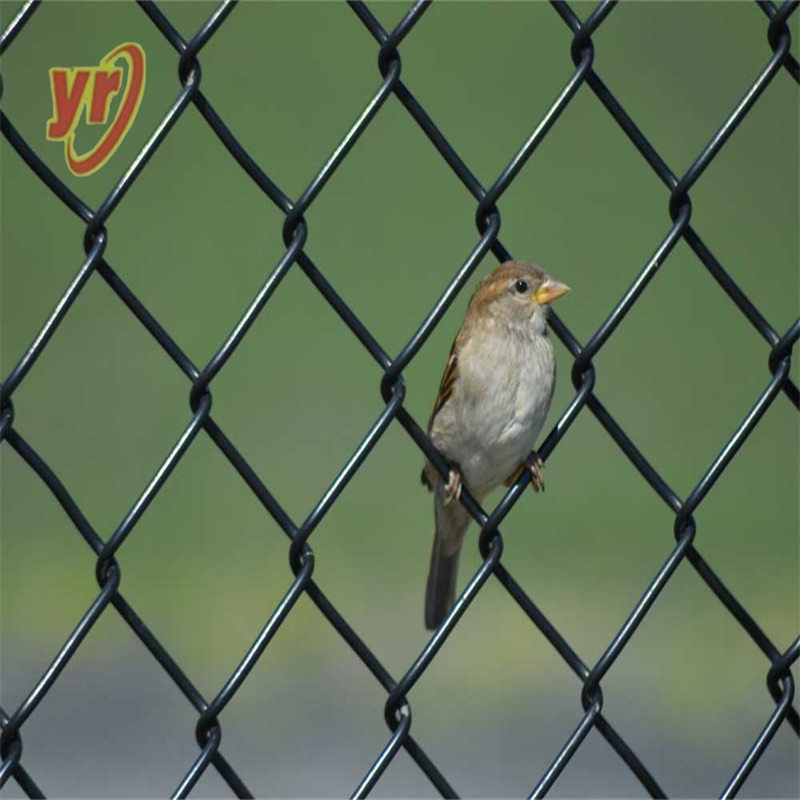 Best Choice for Airport Security Fencing Chain Link Fence 2-3m Tall