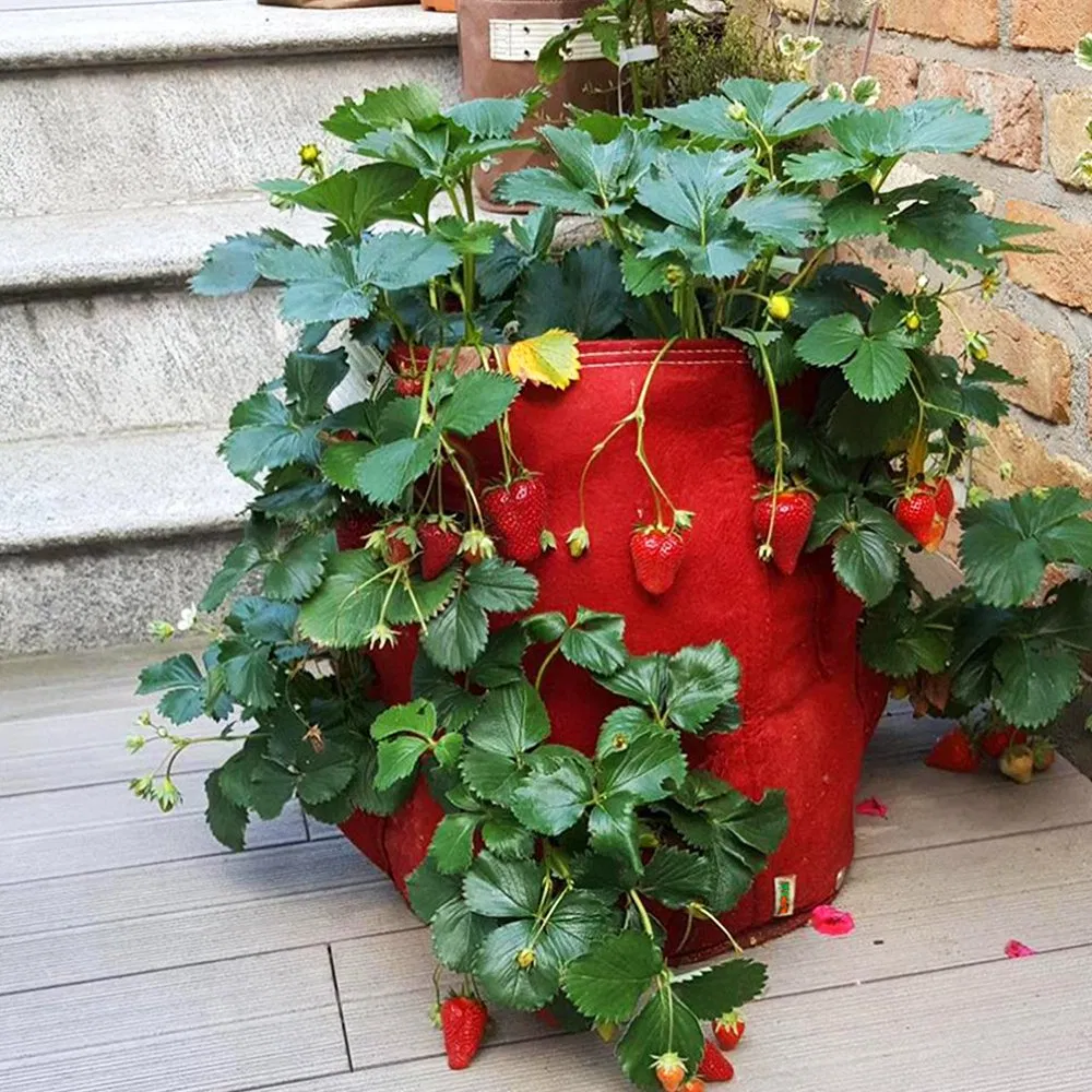 Multi-Pocket Greenherb & Strawberry Flower Pots or Plant Pot