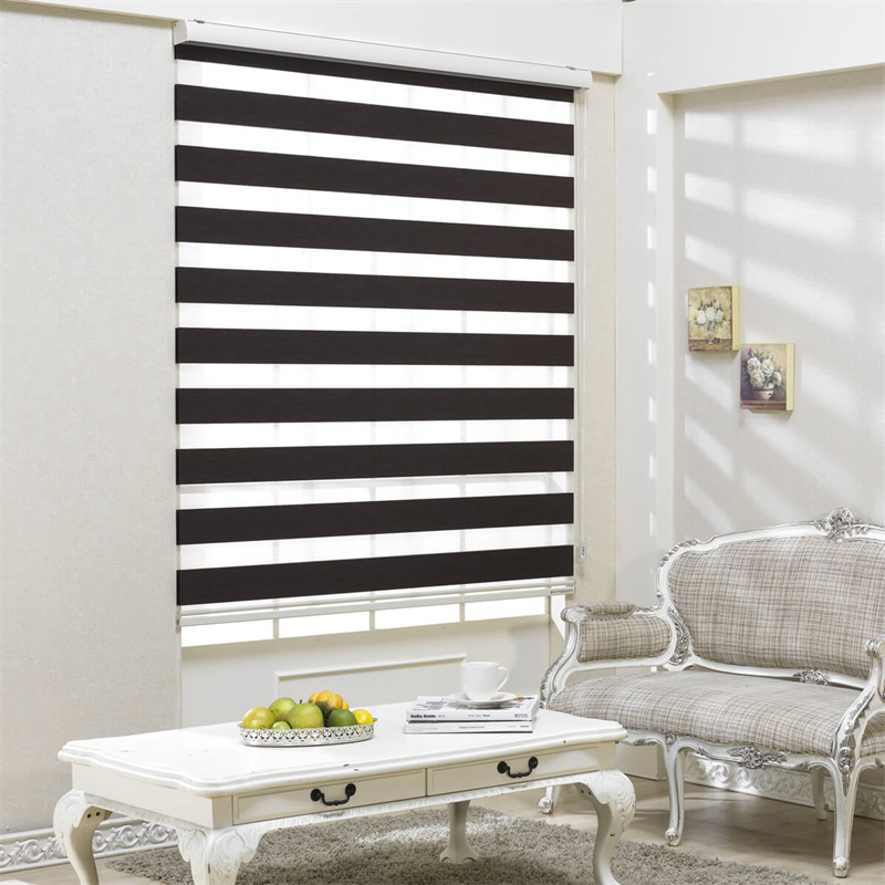 Bedroom Living Room Day and Night Dual Shade Motorized Shades Zebra Blinds Blinds for Windows