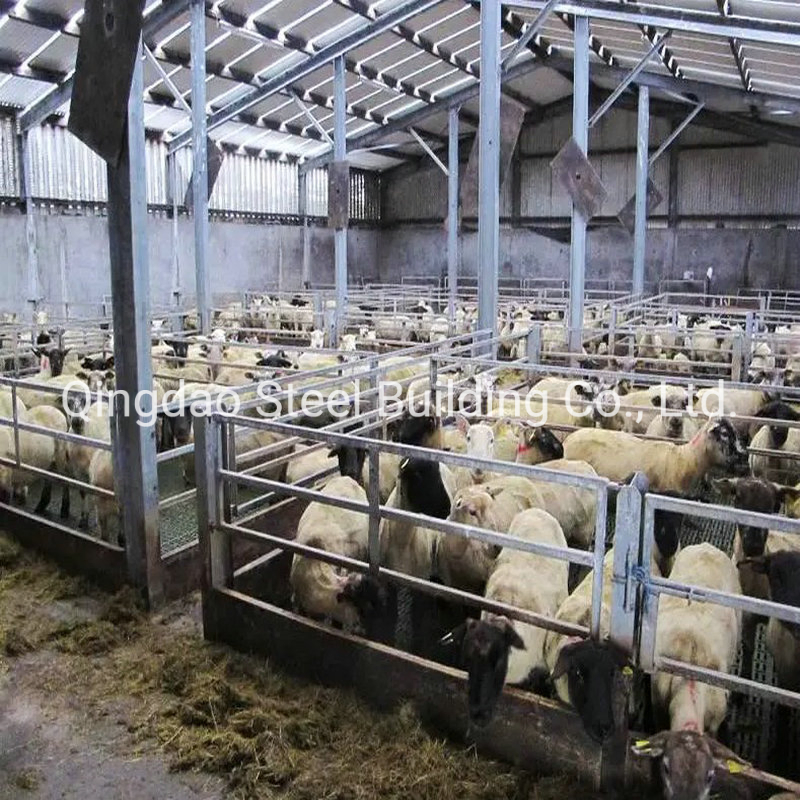 Prefabricated Steel Structure Animal Farming Design Sheep Shed House Building