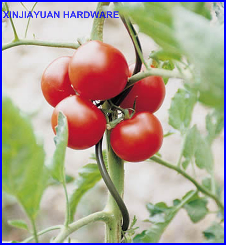 Wholesale 8mm*2m Metal Tomato Steel Spiral Iron Wire Stakes