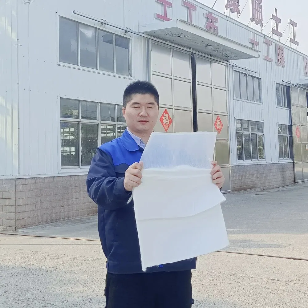 Durability Anti-Static OEM ODM Custom 0.25-0.35mm Thicknesslong Service Life Composite Geotextile Geomembrane