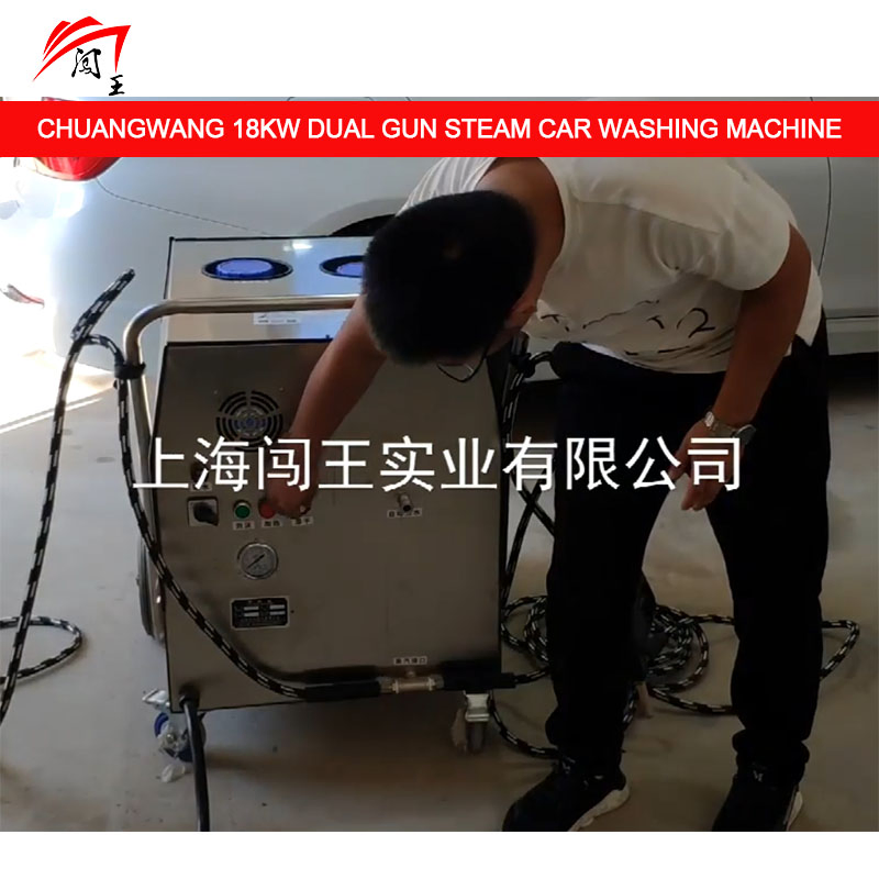 Double Gun Steam Car Washing Machine, 10 Seconds of Steam Output, Efficient Cleaning Without Waiting!