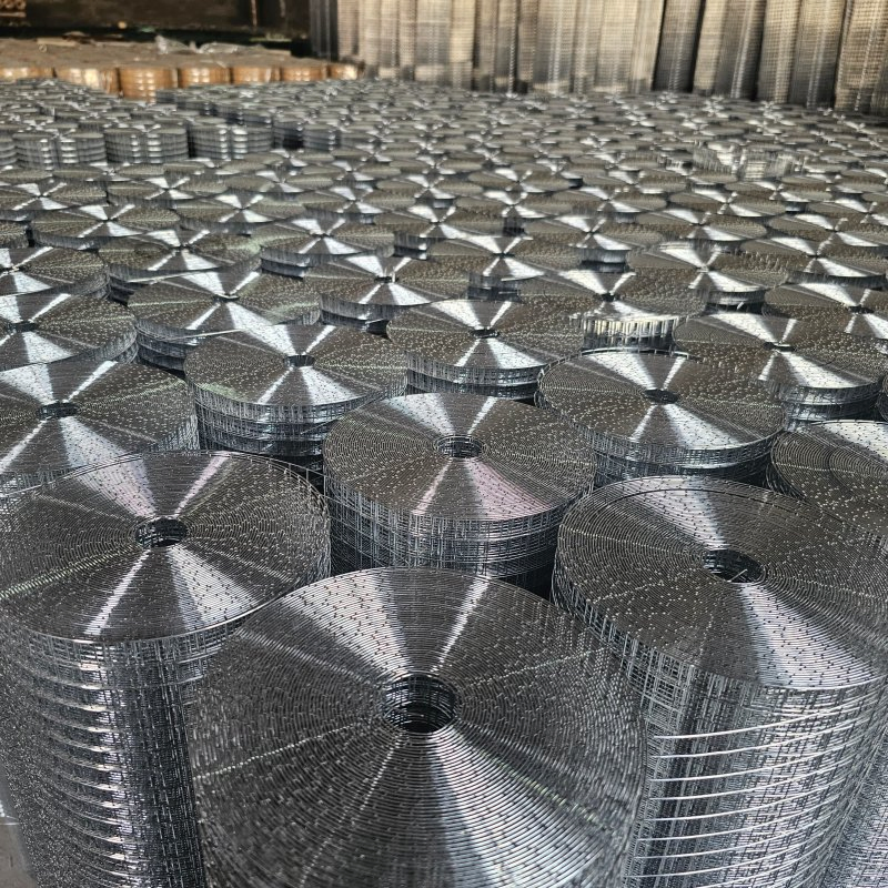 Hot Dipped Galvanized Steel Welded Wire Mesh Opening 1/4 Inch - 2 Inch