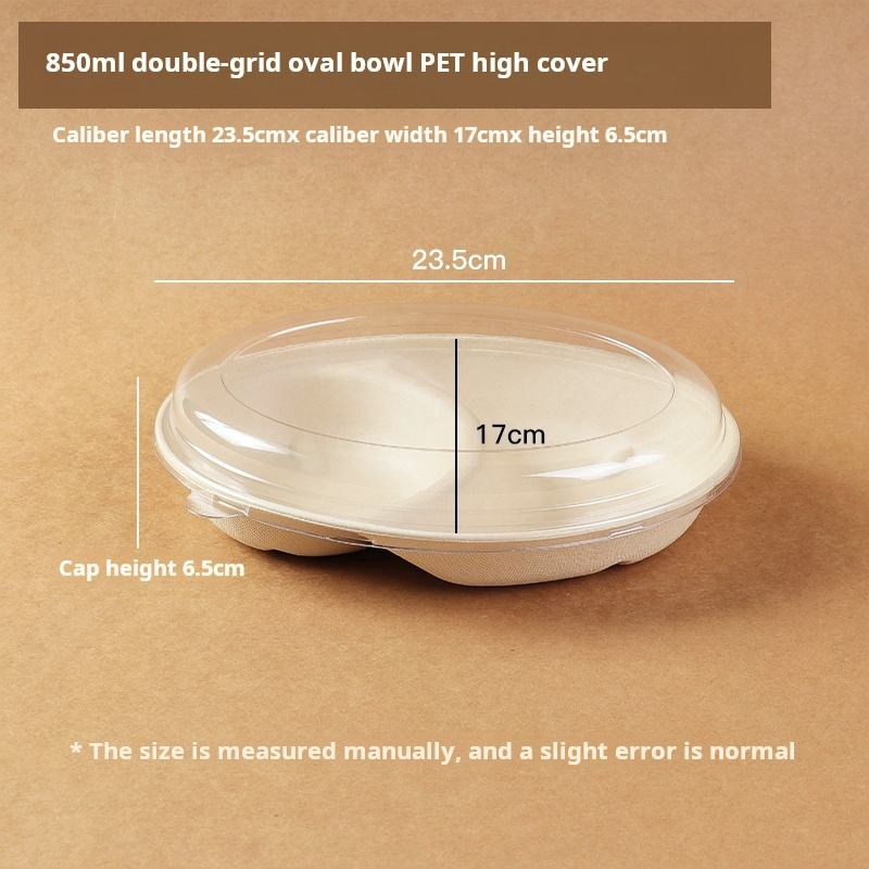 Leak-Proof and Grease-Resistant Sugarcane Box for Oily Foods