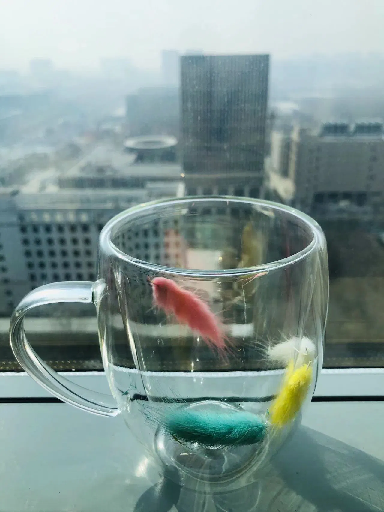 Hot Sale Creative Feather Dried Flower Double Wall Glass Mug for Coffee Milk Hot Water Tea 350ml