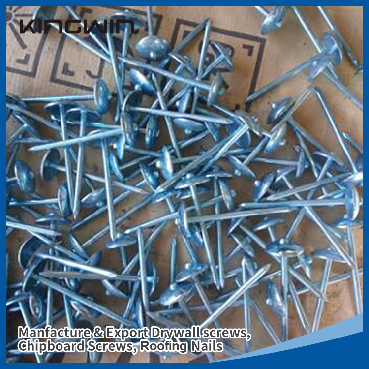 2.5"*9bwg Galvanized Umbrella Head Roofing Nails for Nigeria Market with Smooth Shank