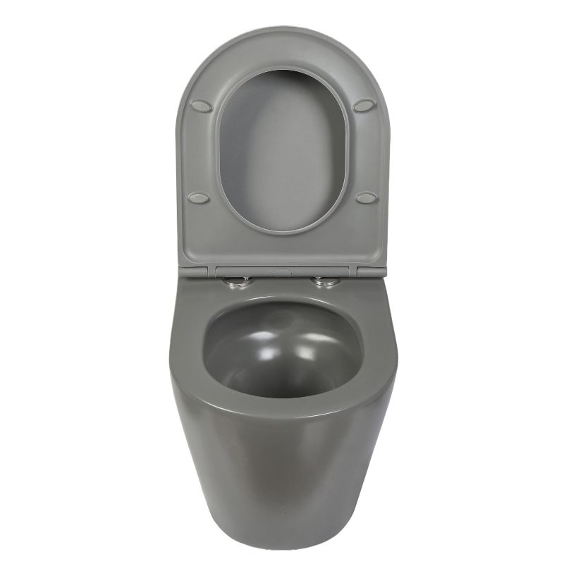 Rimless Wall Hung Toilet Bowl Ceramic Toilet Wash Down Flush Multi Color