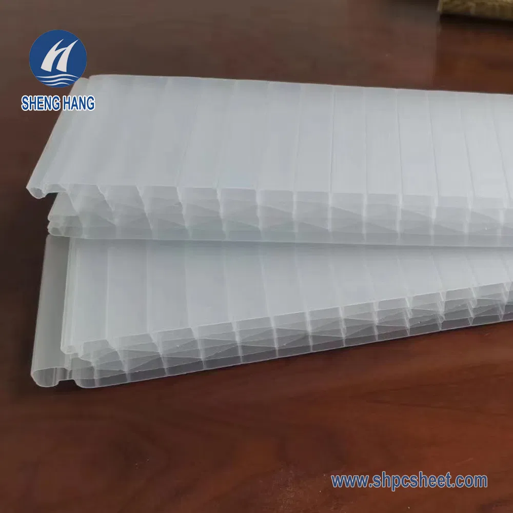 High Quality Polycarbonate Plug-in Pattern Sheet for Curtain Wall