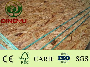 Pine OSB for Furniture and Indoor Construction, Outdoor Construction