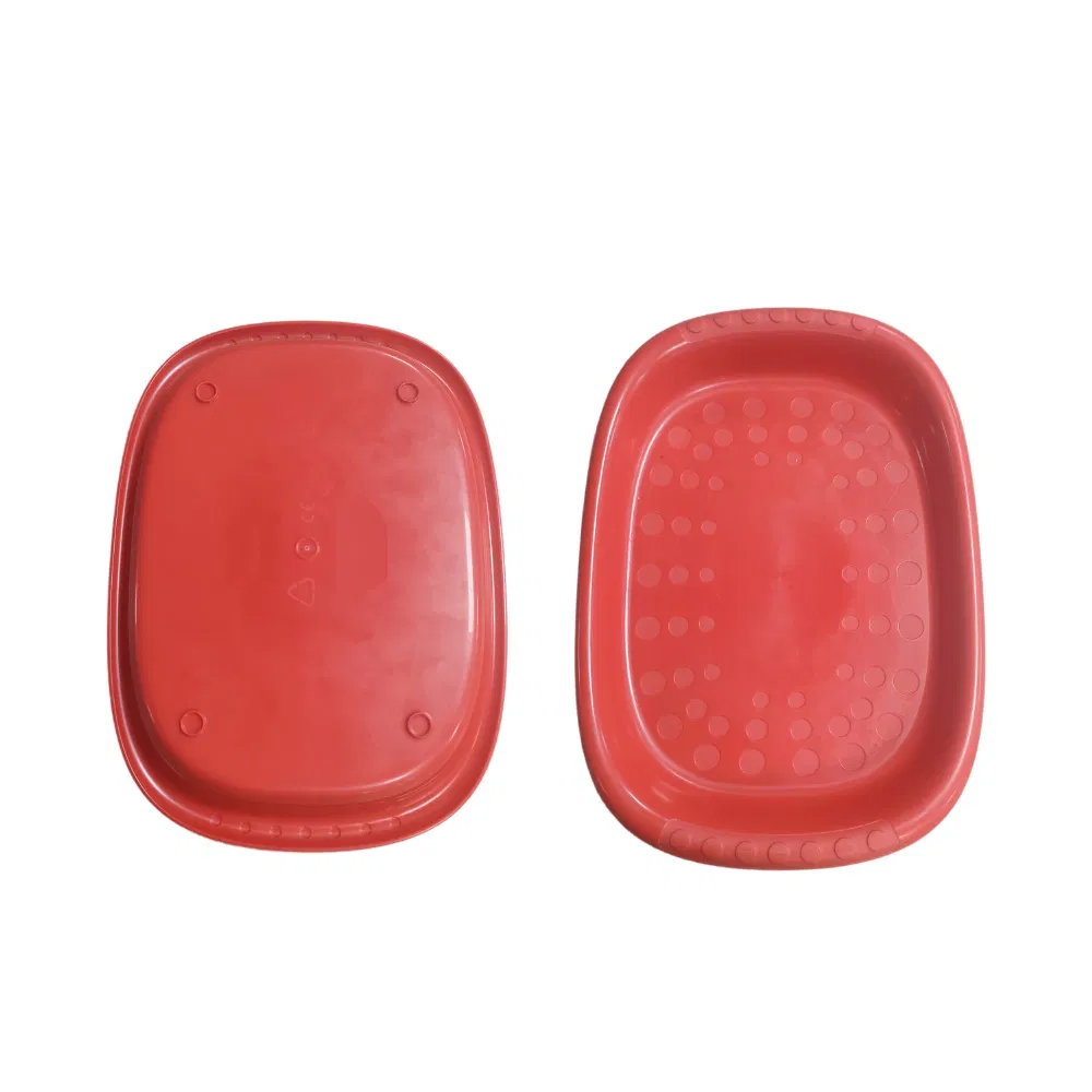 Rectangle Plastic Tray with Proe Design Software for Long Mold Life