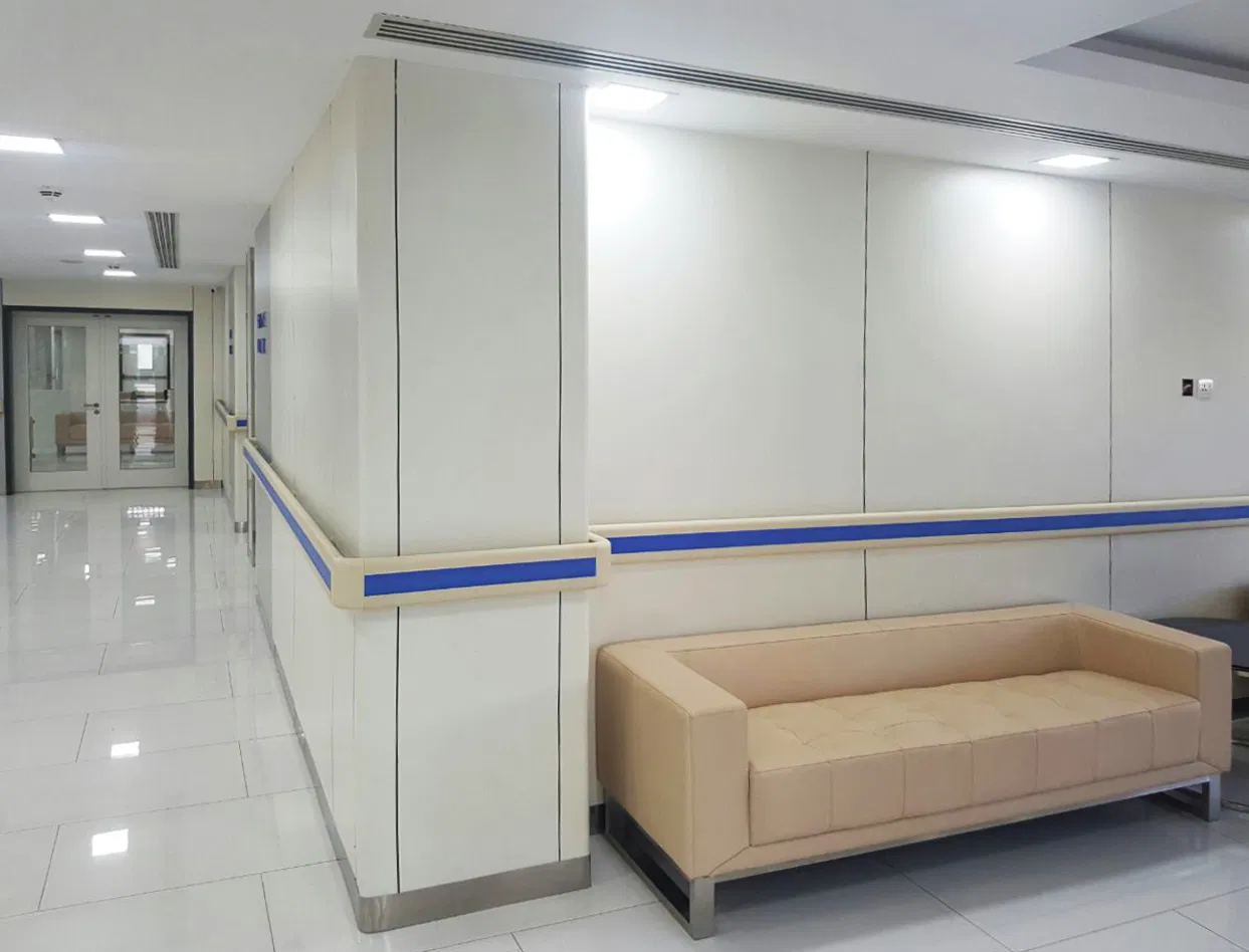 Debo Compact Laminate Board Hospital Aisle and Ward Interior Wall Panels Are Fireproof, Hygienic, Easy to Clean and Easy to Inst