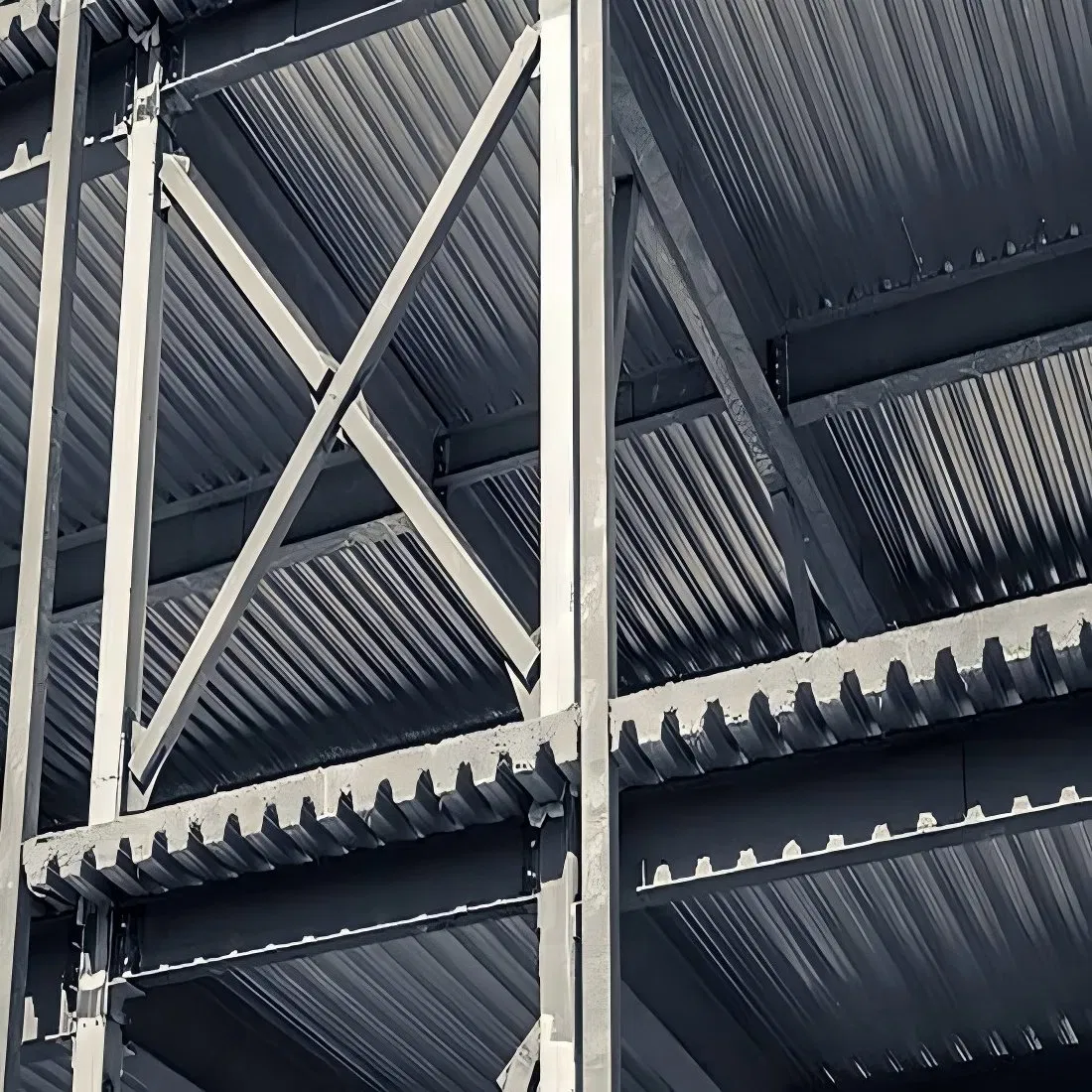 Easy Assembly Prefabricated Light High Quality Structural Steel Frame Gym