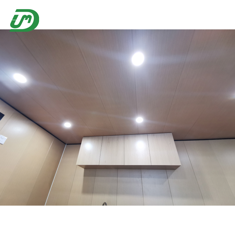 Hot Selling Newly Designed 40FT Apple Cabin Container Tiny Prefab Modular Prefabricated Hotel for Homestay